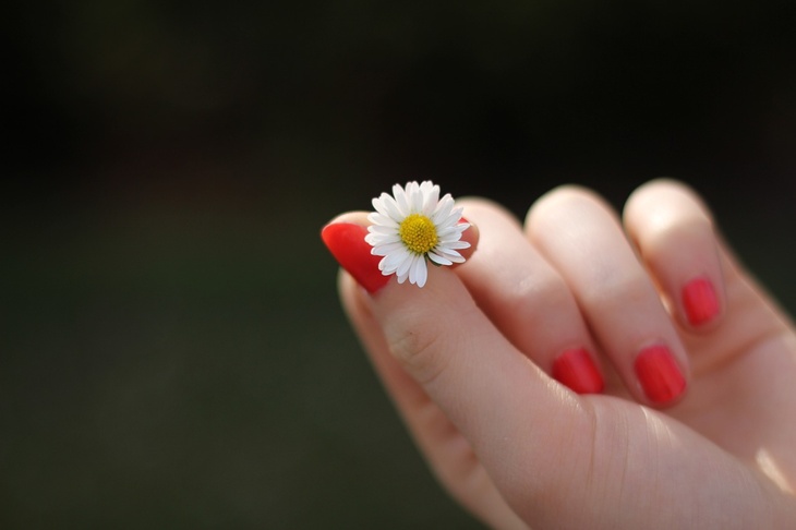 Диетолог перечислила продукты, которые поддержат красоту ногтей