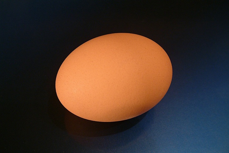 Ученые выяснили, что яйцо появилось раньше курицы