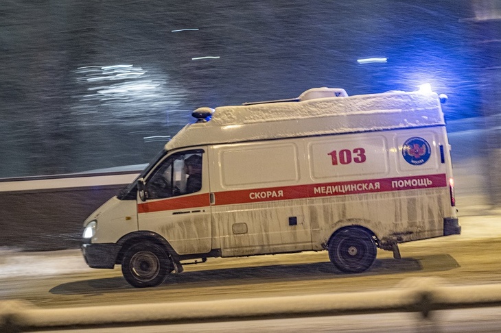 Четверо детей и женщина погибли в ДТП с грузовиком в Мордовии