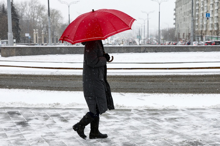 Синоптик Тишковец предупредил, что в начале марта Москву накроют заряды снега и ветра