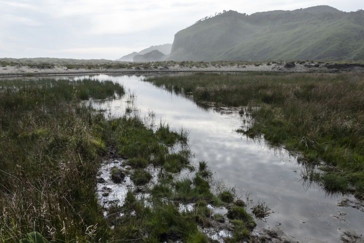 Ученые полагают, что российские болота спасут мир от глобального потепления