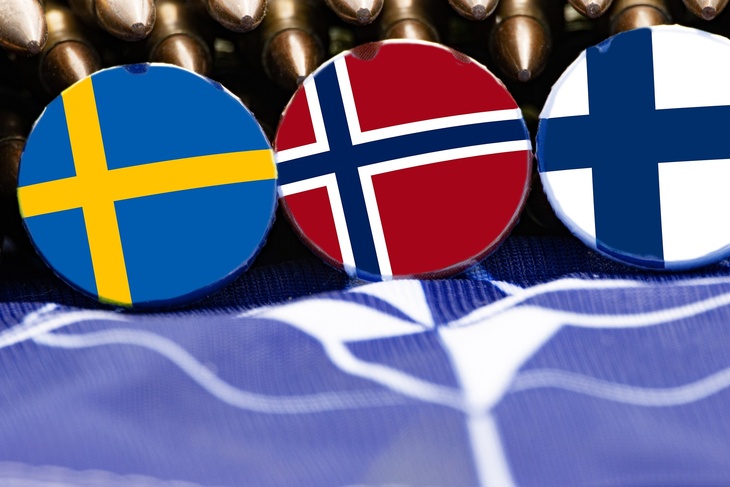 Эксперт предположил, что будет делать НАТО в Швеции