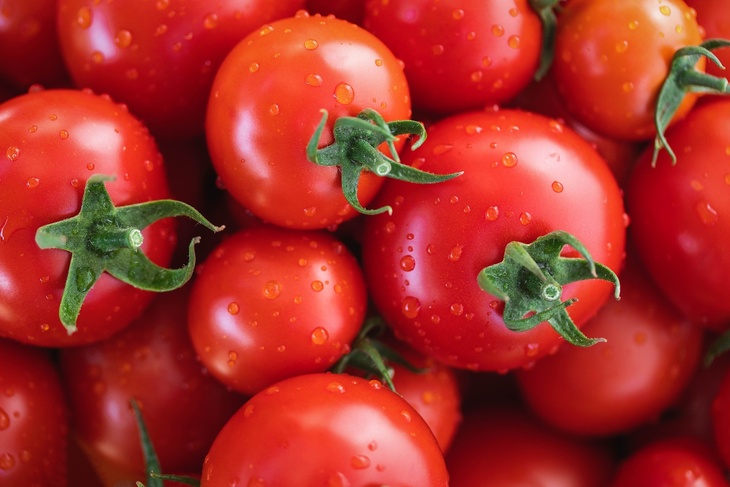 Богатый урожай томатов даже в холодное лето: 5 лучших сортов для посадки в апреле