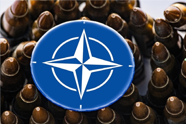 Могут и не ответить: эксперт раскрыл нюансы статьи устава НАТО о коллективной защите