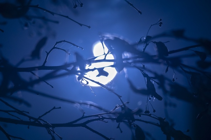 Редкое полутеневое лунное затмение произойдет вечером 5 мая 