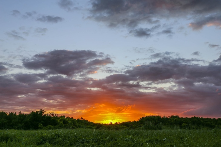 Нутрициолог рассказала, чем лучше питаться в жару