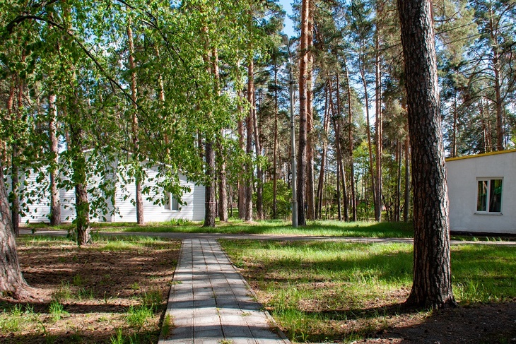 Подросток насмерть отравился в оздоровительном лагере Нижегородской области