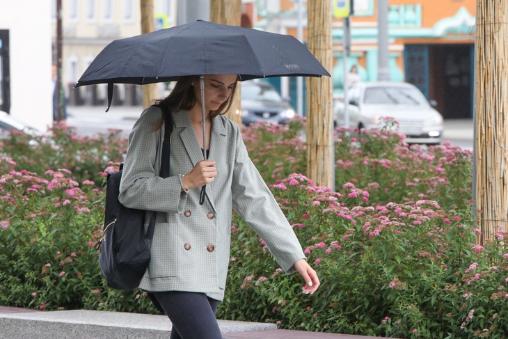 Синоптик Варакин: дожди в Москве не прекратятся до субботы