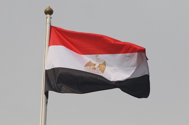 Власти Египта отреагировали на появление в стране неизвестной болезни