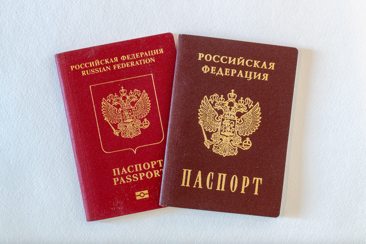 Адвокат о лишении гражданства РФ, полученного по праву рождения: «Невозможно в силу Конституции»