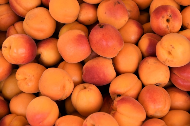 Диетолог объяснила, кому не стоит есть абрикосы