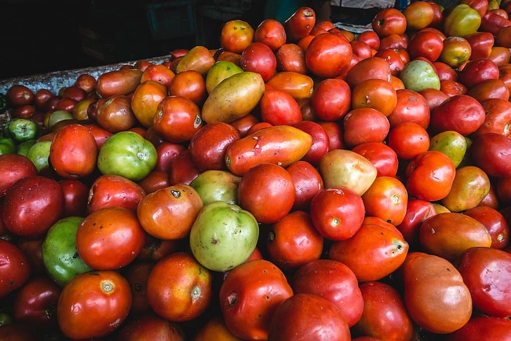 Эксперт рассказала, можно ли есть помидоры с внешними дефектами