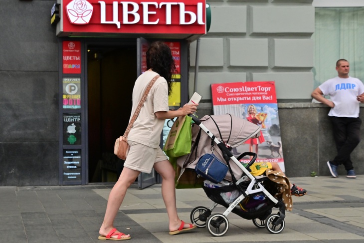 Каждый четвертый взрослый россиянин не имеет детей по данным опроса 