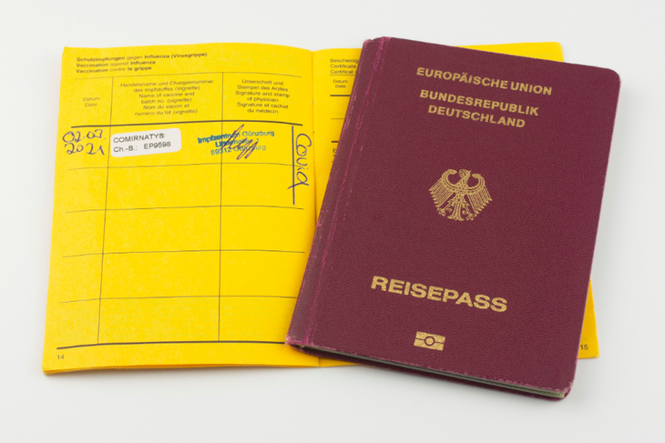 Германия разрешила второе гражданство для иммигрантов и упростило его получение