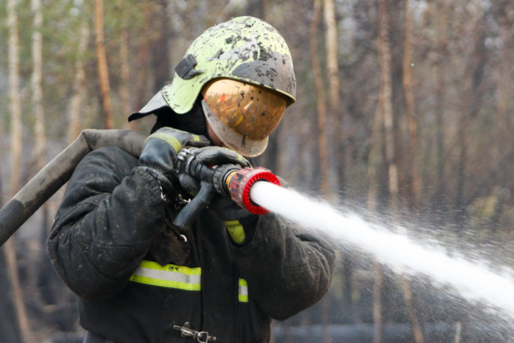 Площадь лесных пожаров в горах рядом с Геленджиком достигла 15 гектаров
