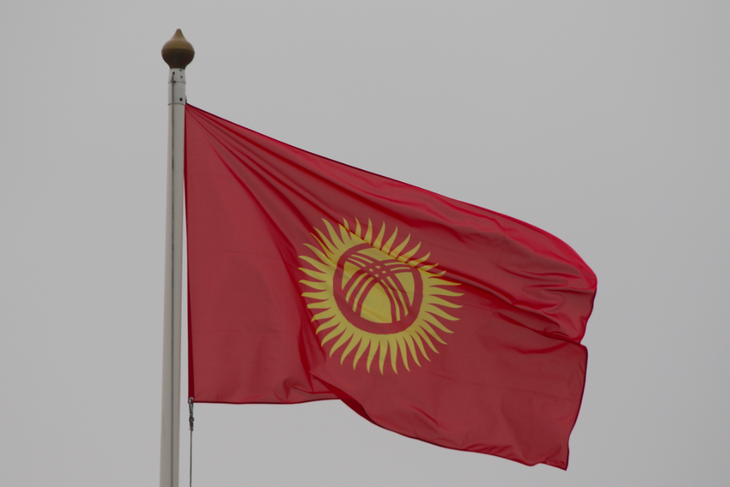 В Госдуме объяснили, кто должен ответить за избиение россиян в Кыргызстане