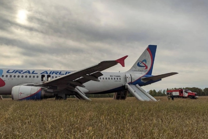 Самолет «Уральских авиалиний» экстренно приземлился в поле в Новосибирской области