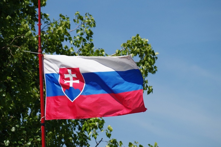 Политолог Жарихин оценил вероятность пророссийского разворота Словакии