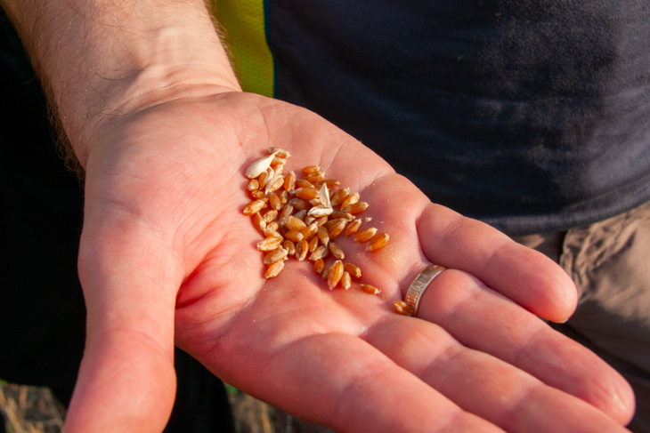 В МИД Украины заявили, что не пойдут на уступки по зерновой сделке
