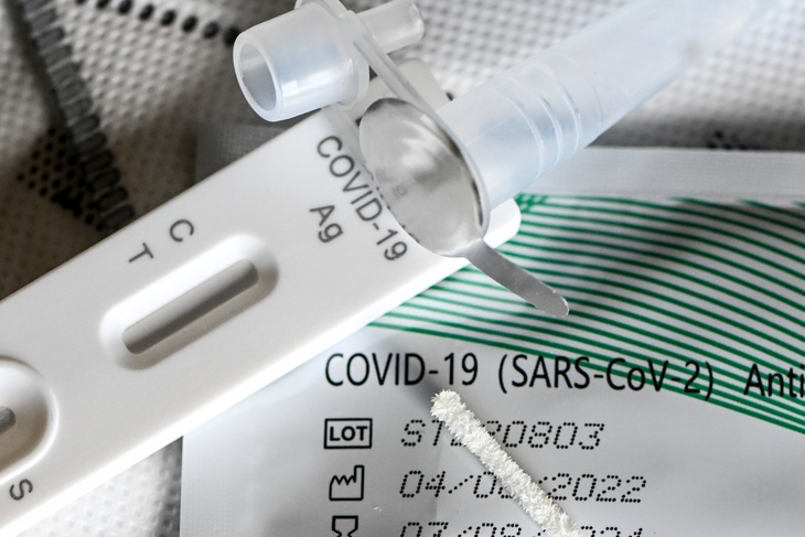 Британские врачи назвали главные симптомы нового штамма COVID-19 «Пирола» 
