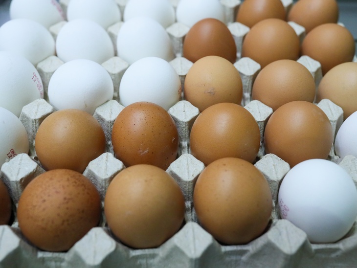 Эксперт объяснил, зачем России импортные яйца из Турции