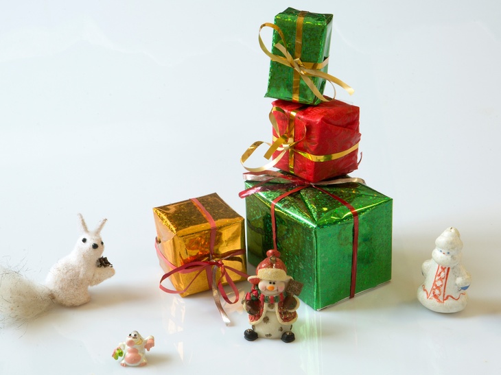 В Госдуме предложили обеспечить всех детей новогодними подарками за счет бюджета