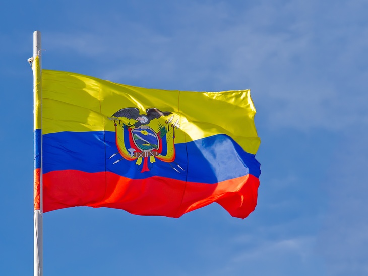 Эквадор не справится с внутренним конфликтом сам — политсоветник