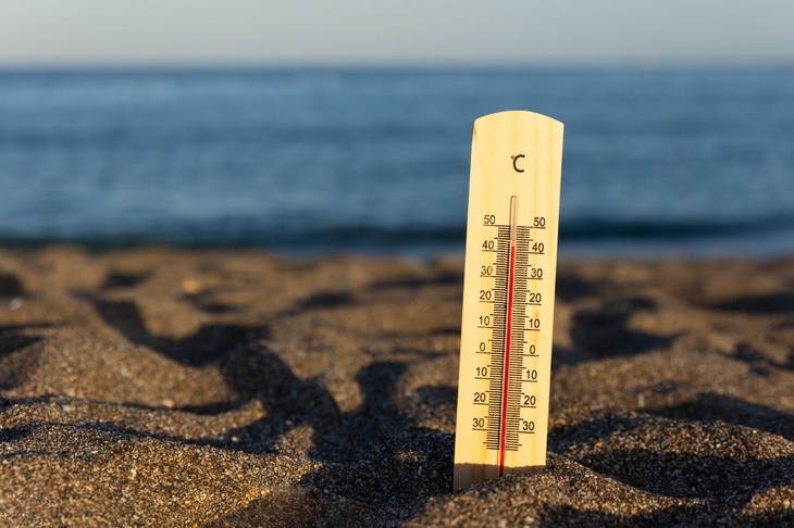 Синоптик назвала вымыслом прогноз о небывалой жаре в России предстоящим летом