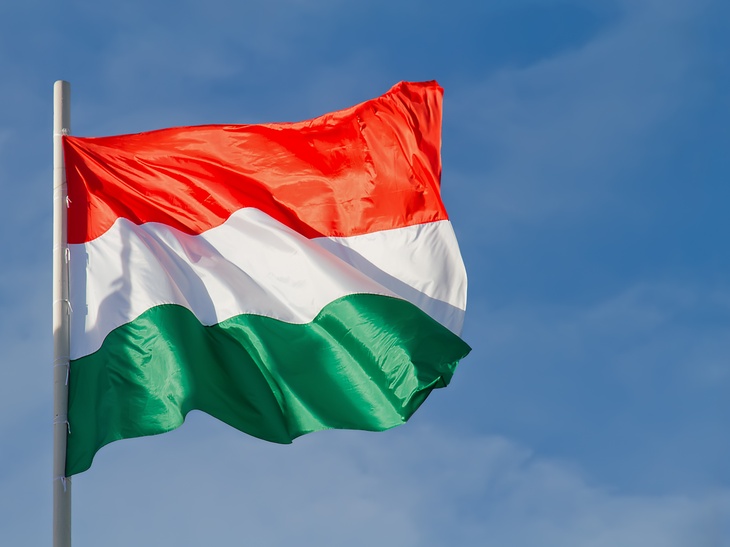 «Венгры на стороне здравомыслия» — политолог о новом пакете антироссийских санкций 
