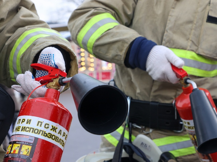 Семья из трех человек погибла при пожаре в Новой Москве