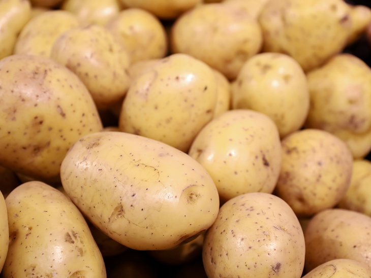 Садовод объяснил, как правильно готовить клубни картофеля к посадке