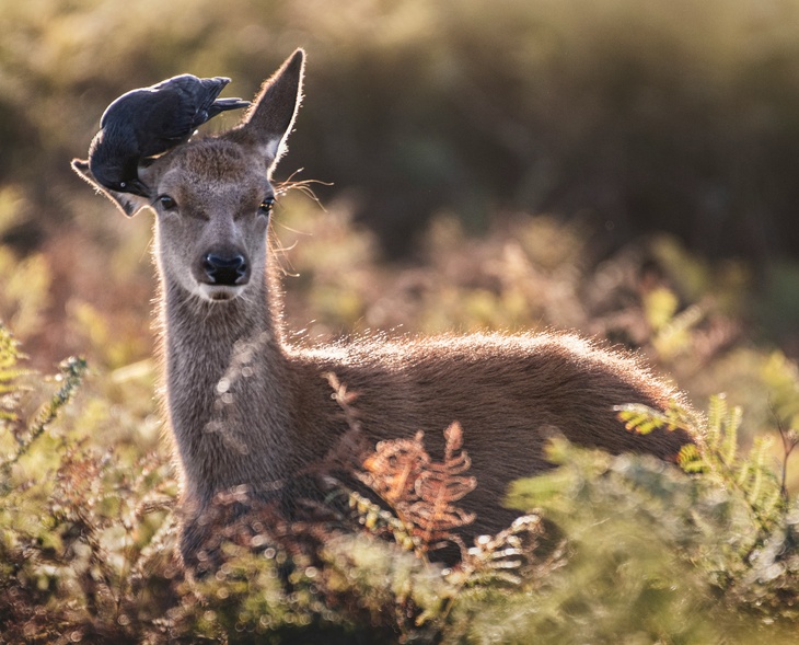Не делайте этого 16 октября, чтобы не накликать 40 бед: Денис Позимний в народном календаре 