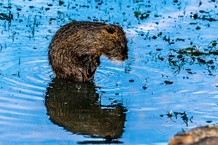 Не делайте этого 27 октября, чтобы не пришлось много плакать: Прасковья Грязнуха в народном календаре