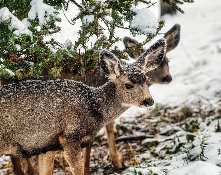 Не делайте этого 18 октября, чтобы не получить череду проблем: Первые холстины в народном календаре 