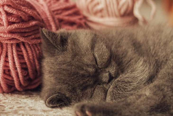 Не делайте этого 18 октября, чтобы не получить череду проблем: Первые холстины в народном календаре 