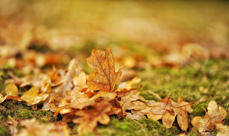 Не делайте этого 11 октября, чтобы не сглазить удачу и благополучие: Харитонов день в народном кален