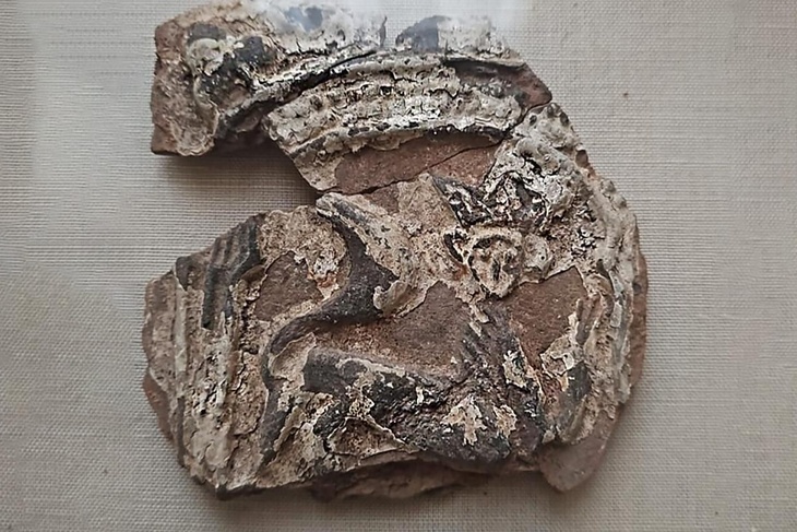 Московские археологи нашли 400-летние изразцы с изображением кошки в короне