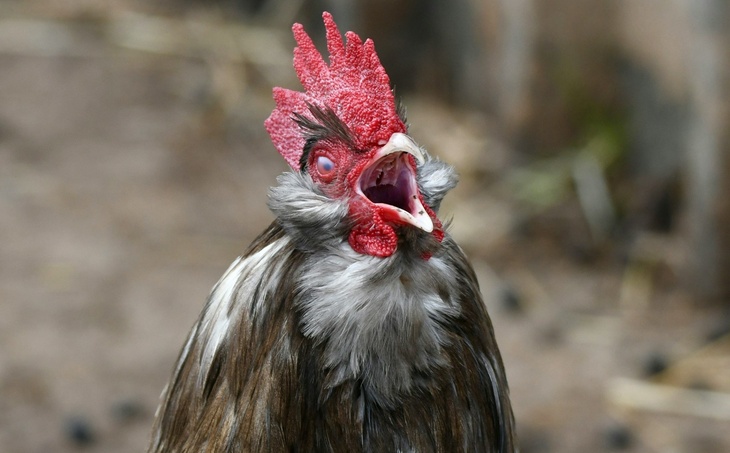 Не делайте этого 14 ноября, чтобы не накликать беду и нищету: Осенние Кузьминки в народном календаре