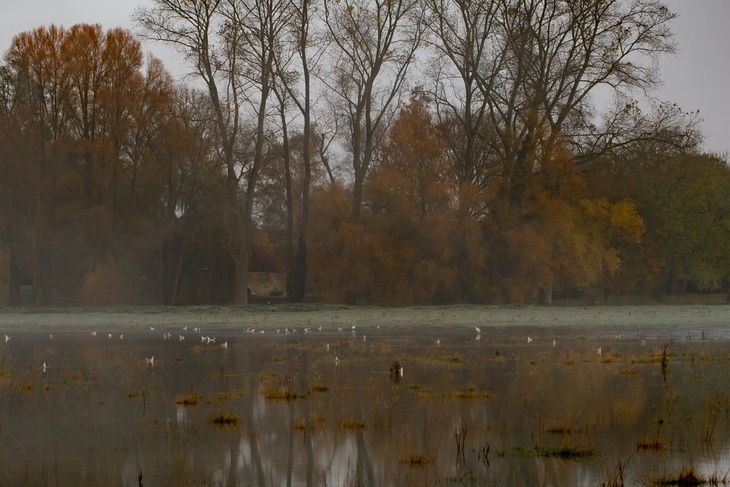 Не делайте этого 10 ноября, чтобы не получить жестокое наказание Не делайте этого 10 ноября, чтобы не получить жестокое наказание