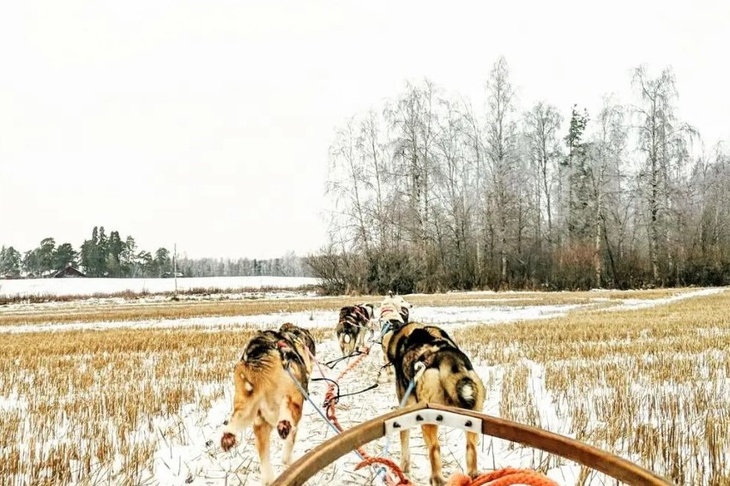 Не делайте этого 3 ноября, чтобы не потерять свое счастье: Первая пороша в народном календаре