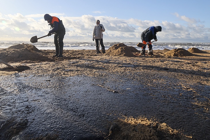 Точная причина массового выброса китообразных на Кубани пока не установлена — эксперт Точная причина массового выброса китообразных на Кубани пока не установлена — эксперт