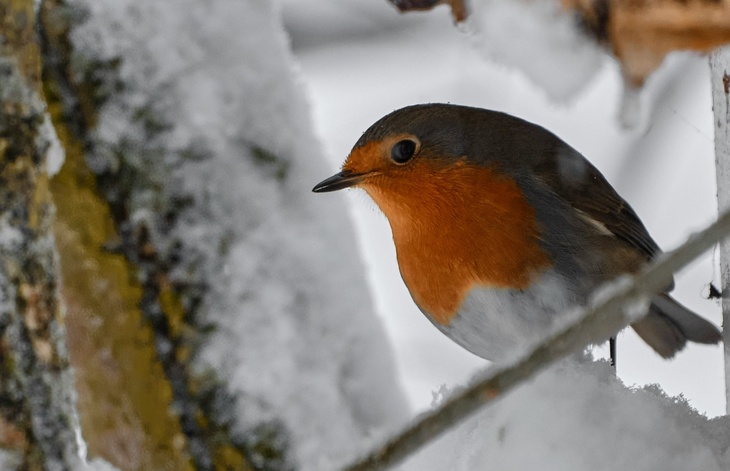 Не делайте этого 21 декабря, чтобы не накликать черную полосу и одиночество: Анфиса Рукодельница в н