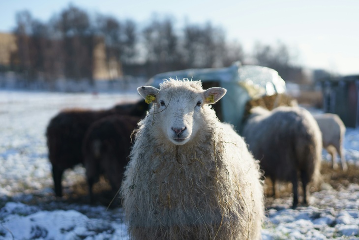 Не делайте этого 23 января, чтобы не пришлось плакать девять дней: Григорий Летоуказатель Не делайте этого 23 января, чтобы не пришлось плакать девять дней: Григорий Летоуказатель
