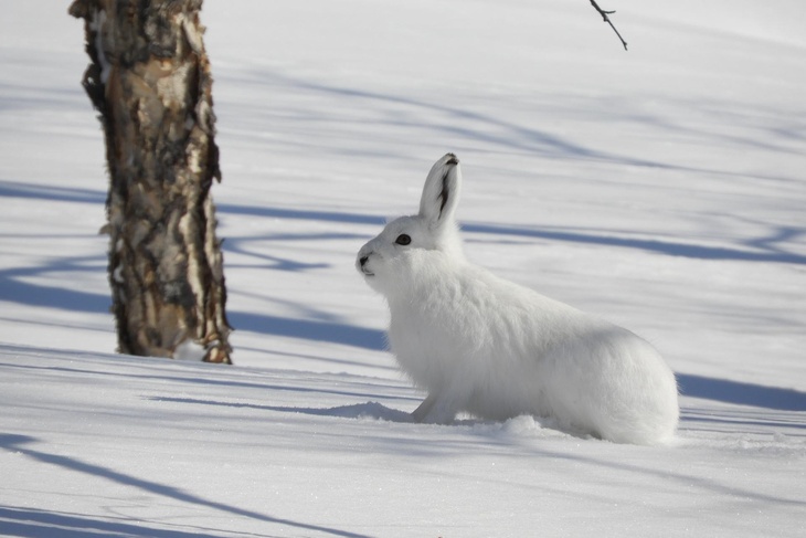 Не делайте этого 3 февраля, чтобы не пришить к себе старые проблемы: Максим Утешитель