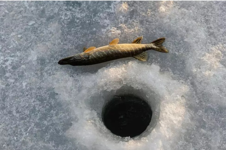 Не делайте этого 25 февраля, чтобы не сглазить самого себя: Алексей Рыбный в народном календаре