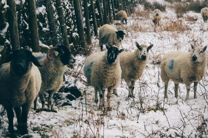 Не делайте этого 28 февраля, чтобы не надуть себе бед: Онисим Овчар в народном календаре