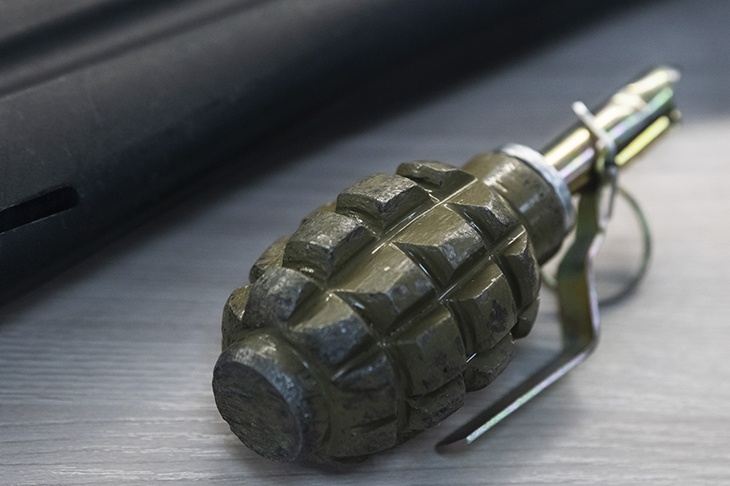 В Новой Москве нашли боевую гранату при уборке улицы В Новой Москве нашли боевую гранату при уборке улицы