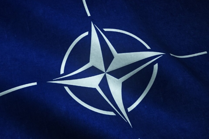 Политолог исключил выход США из НАТО