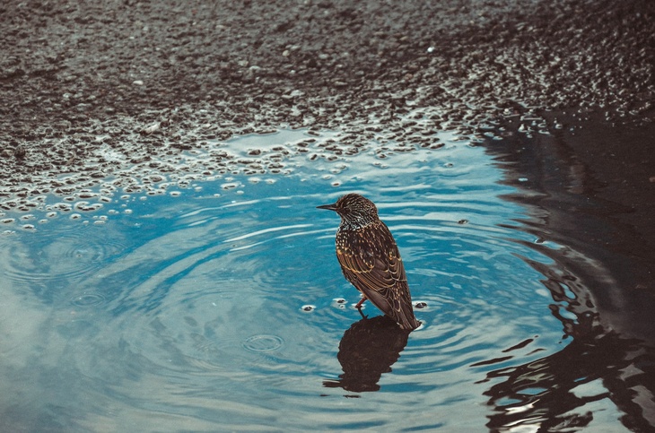 Не делайте этого 30 марта, чтобы не отдать семейное счастье: Алексей Теплый в народном календаре