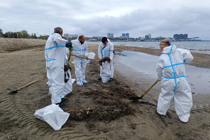 Выброс мазута на побережье Анапы никого не оставил равнодушным - тысячи людей поехали волонтерами спасать экологию